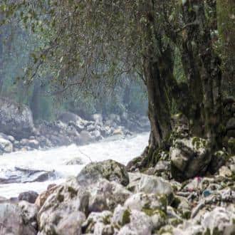 Enjoy Your Holidays In The Lap Of Nature!, Kullu 2